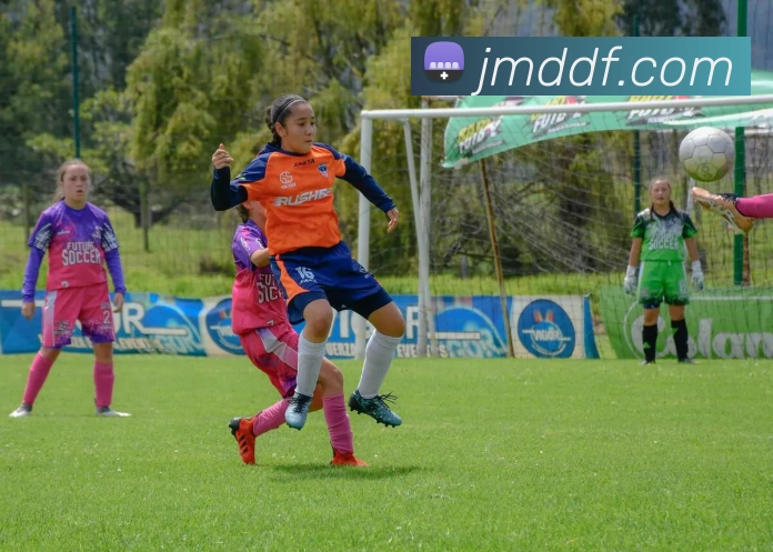 多媒体互动体验